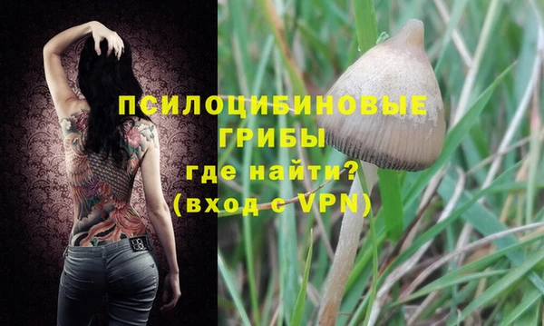 a pvp Бородино