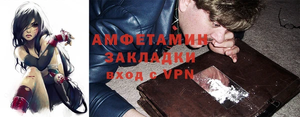 индика Белокуриха
