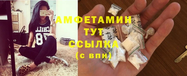 a pvp Бородино