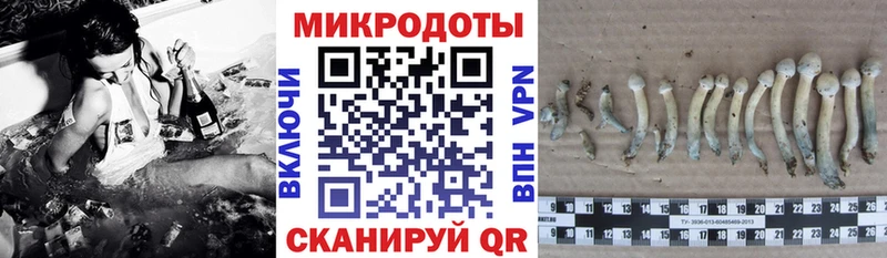 Псилоцибиновые грибы Cubensis  Маркс 